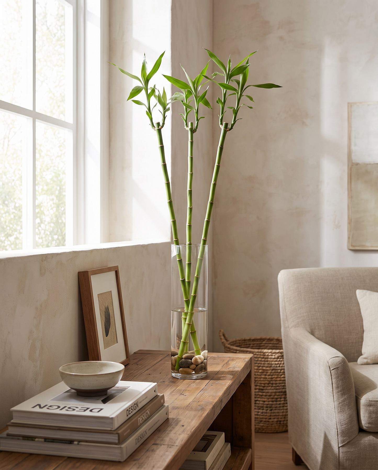 Three-foot lucky bamboo in a glass vase, vase not included