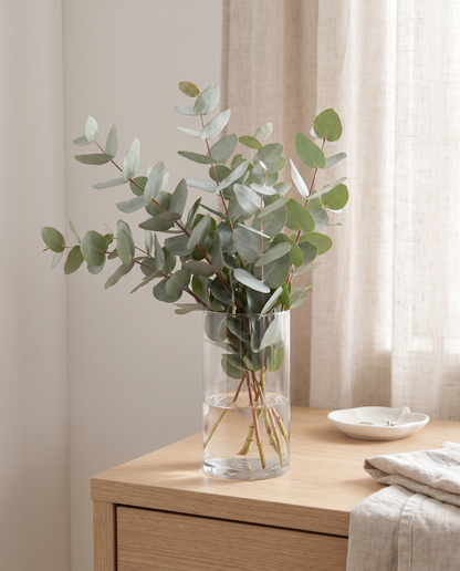 Fresh eucalyptus bouquet in a vase, vase not included