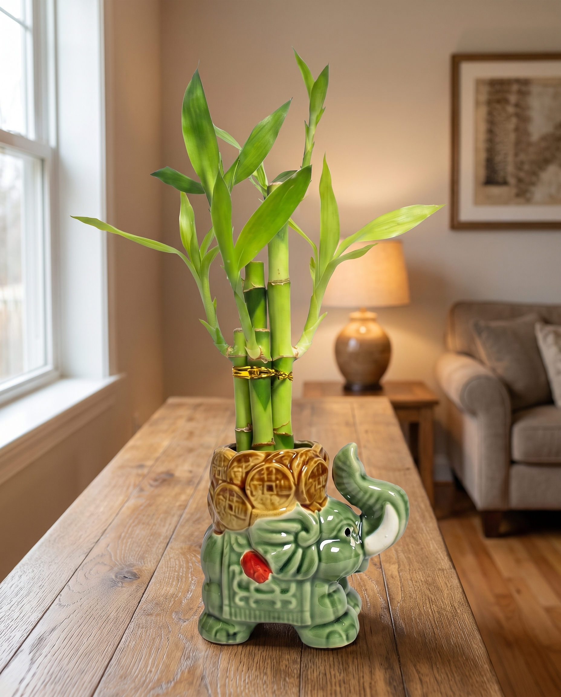 Lucky bamboo 5-stalk arrangement in the included sage elephant ceramic, styled in a room