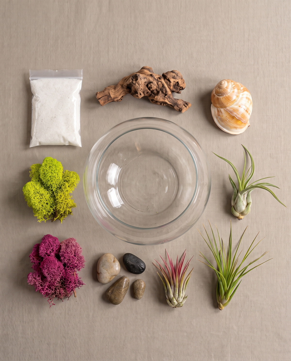 DIY air plant terrarium kit contents, unassembled, studio