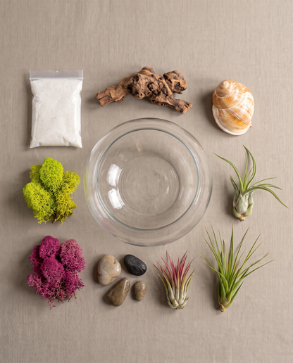 DIY air plant terrarium kit contents, unassembled, studio