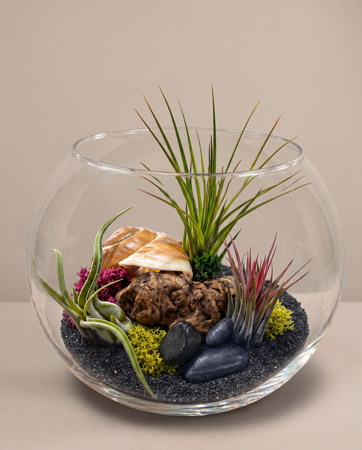 DIY air plant terrarium, 8-inch glass bowl, black sand, studio