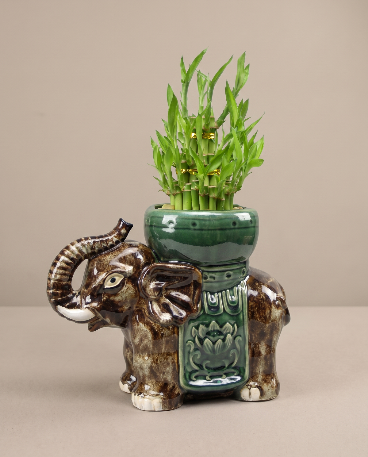 Trunk-up Tower elephant, three-quarter studio on greige