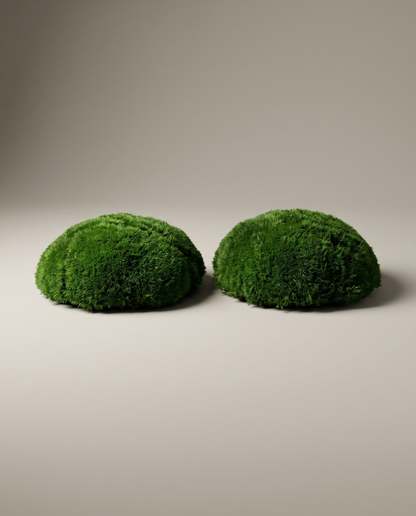 Two pieces of pillow preserved moss, studio, as-sold décor