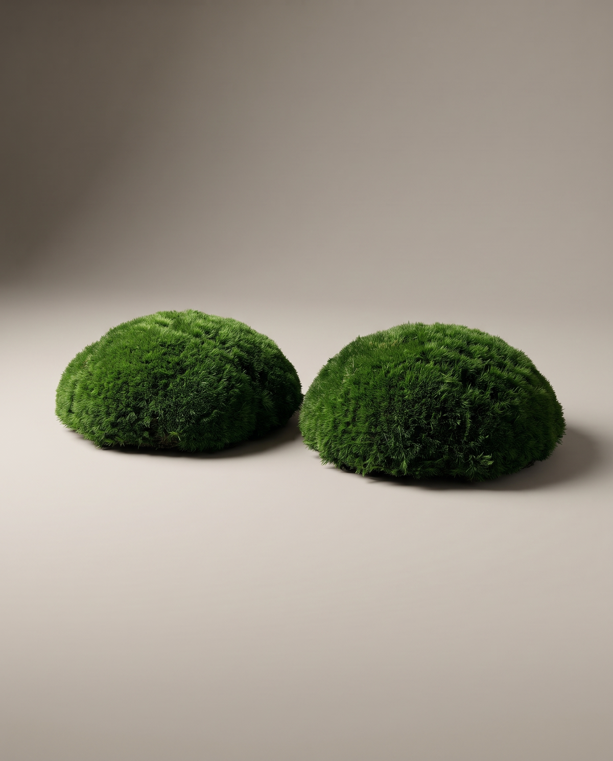 Two pieces of pillow preserved moss, three-quarter studio