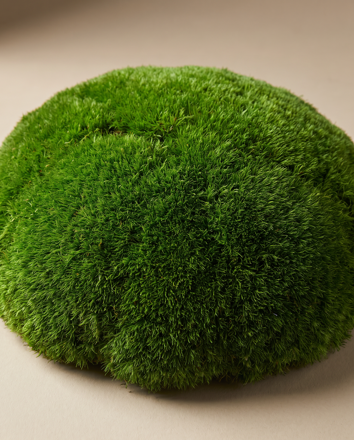 Pillow preserved moss texture close-up