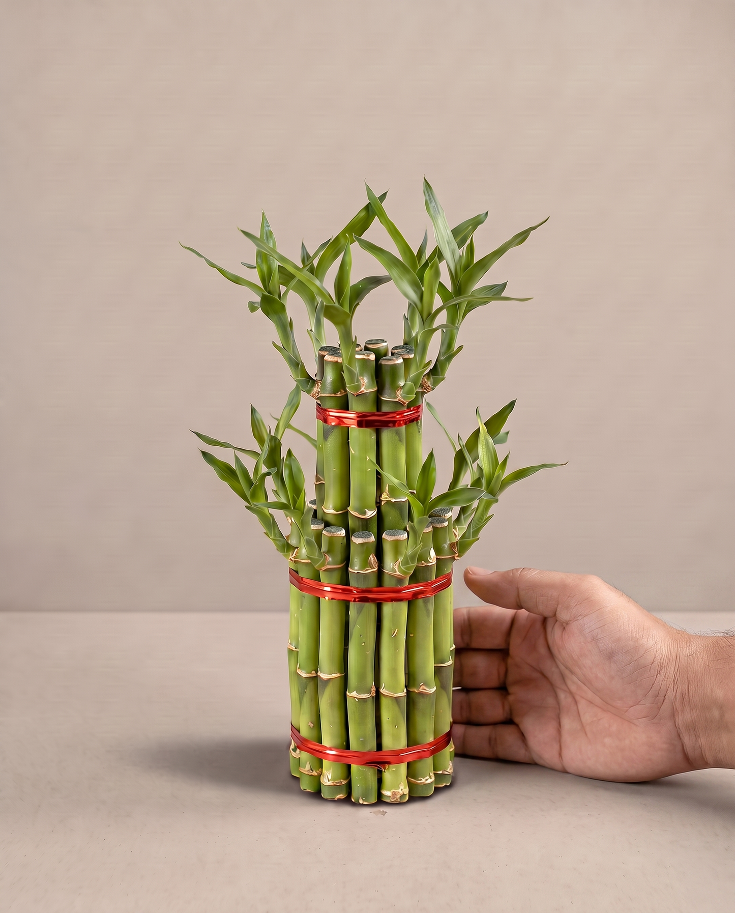 Hand beside a 2-layer lucky bamboo cake for scale