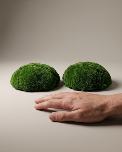 Hand beside two pieces of pillow preserved moss