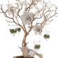 Manzanita wood tree 8’