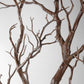 Manzanita wood tree 8’