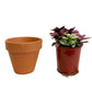Italian Terra Cotta Clay Planters (2.5" - 12") - Geoponics Inc