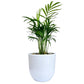 Palm Springs - Geoponics Inc