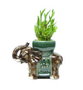 Trunk-up Tower (elephant)