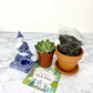 Good Vibes DIY Plant Gift Box