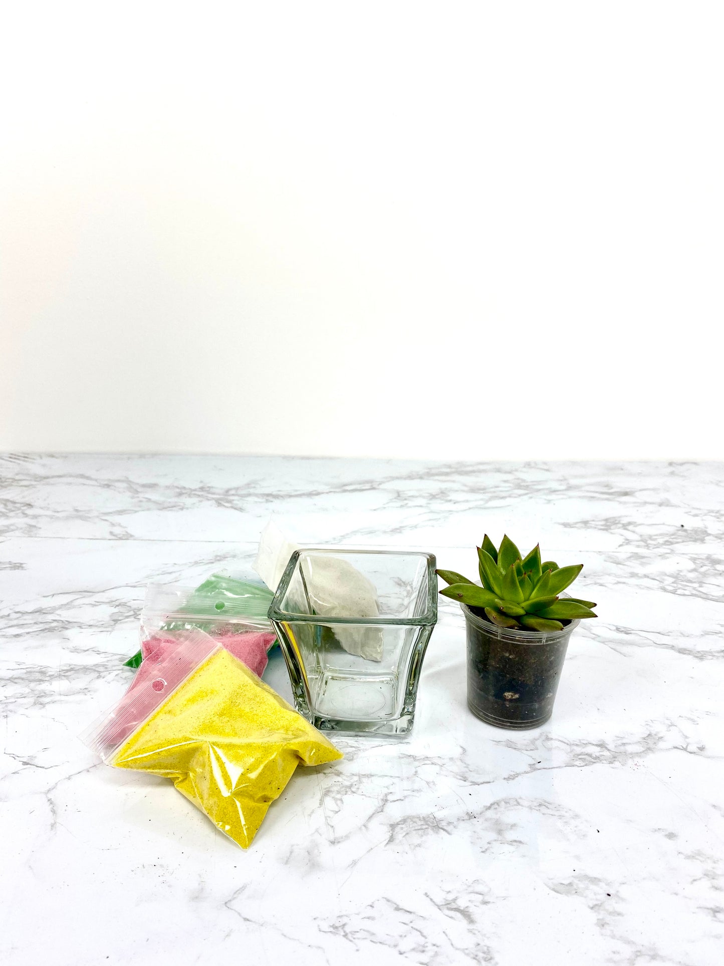 Sand Succulent DIY Plant Gift Box