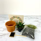 Simple Nature Succulent DIY Gift Box
