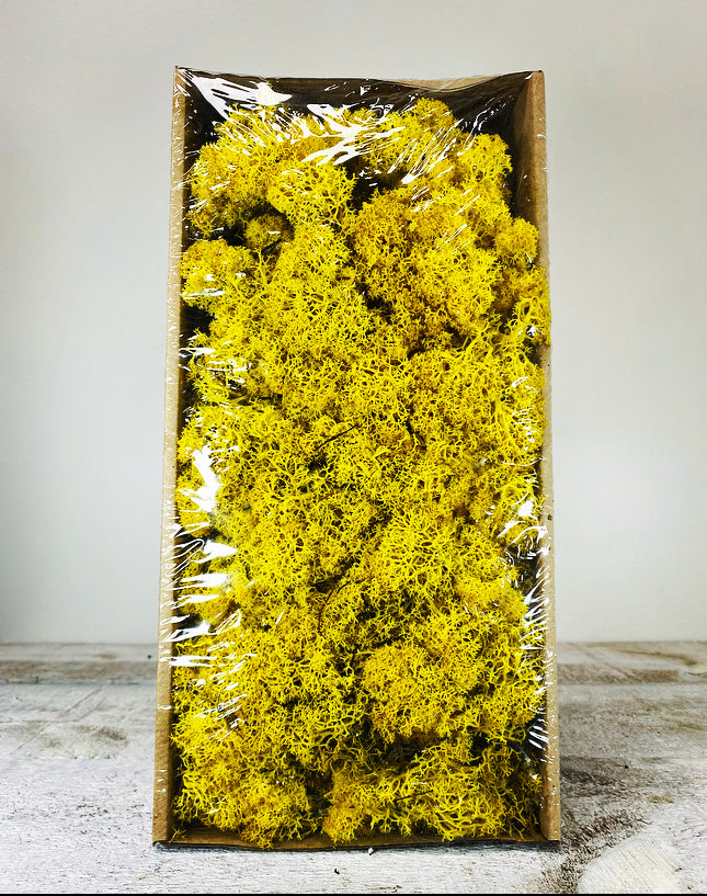Moss (Multi-colour)