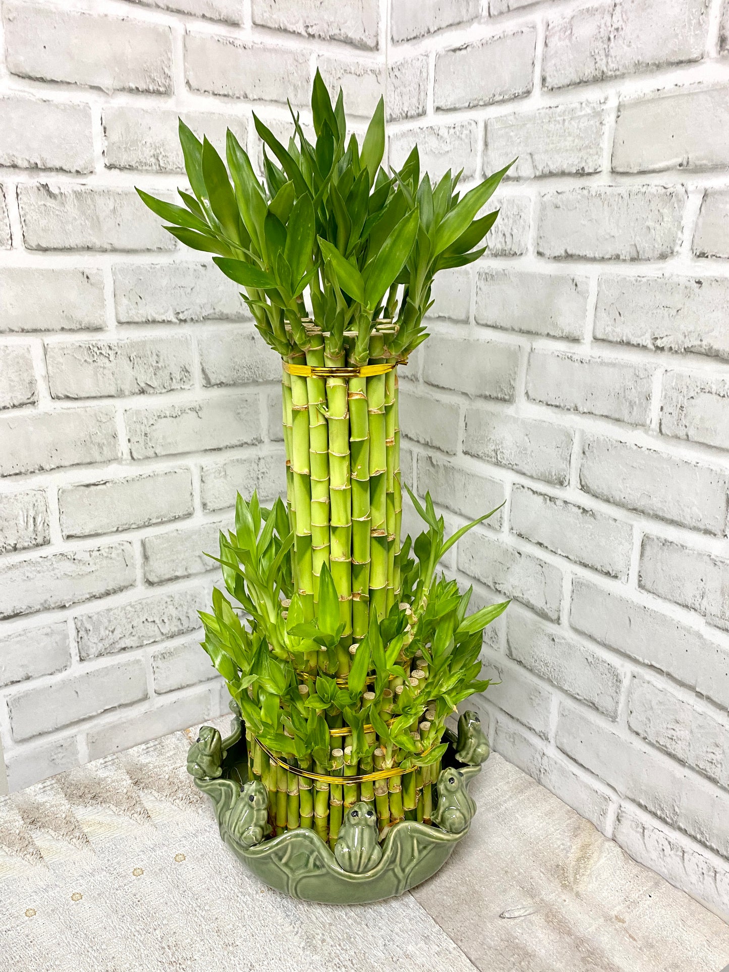 Tower Bamboo with pot