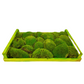 Pillow preserved moss (42 pieces)