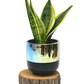 Two Tone Black Chrome Planter