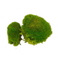 Pillow preserved moss (42 pieces)