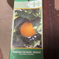 Orange 10”(citrus Navel/Owari  Mandarin/Blood orange)