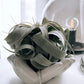 TILLANDSIA XEROGRAPHICA