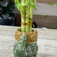 Large Elephant Bamboo Kit