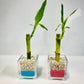 Event Favours