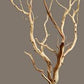 Manzanita wood Tree branches 4’