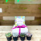 2.25” Baby Succulent Gift Box (Box of 4)