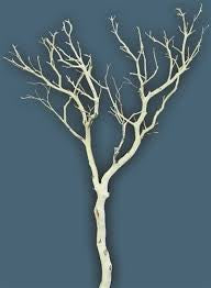 Manzanita wood Tree branch 6’/6.5’ (sand blast)