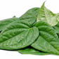 Betel (paan)