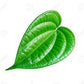 Betel (paan)