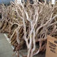 Manzanita wood Tree branches 4’
