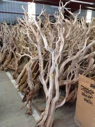Manzanita wood Tree branch 6’/6.5’ (sand blast)